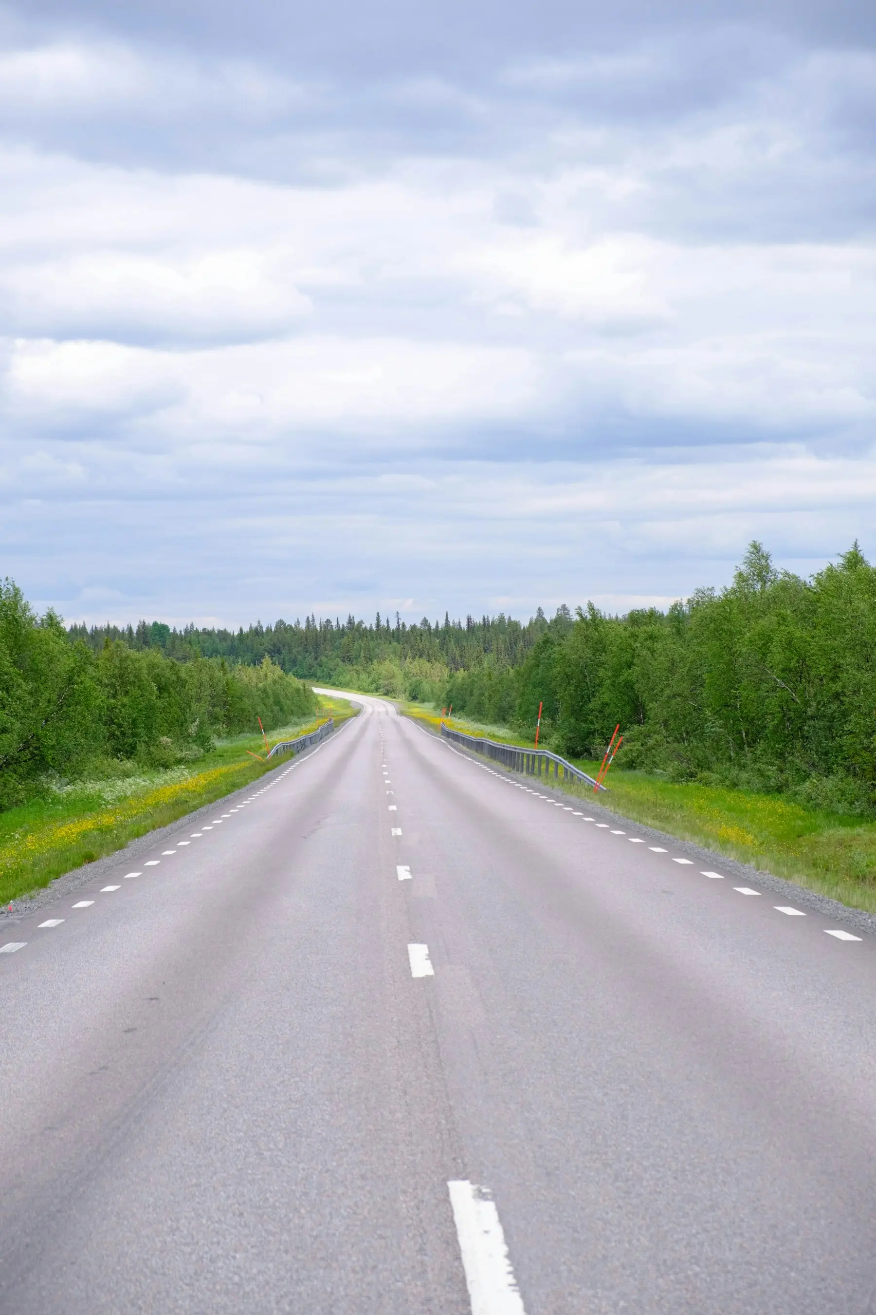En åpen landevei gjennom grønn skog under lett overskyet himmel.