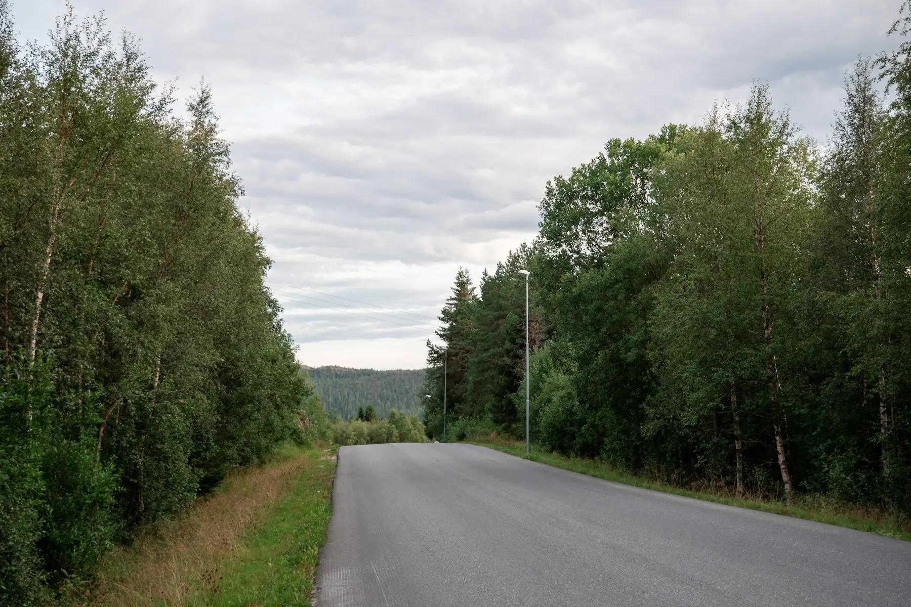 En asfaltert vei svinger mellom lauvtrær og gress under lett overskyet himmel.